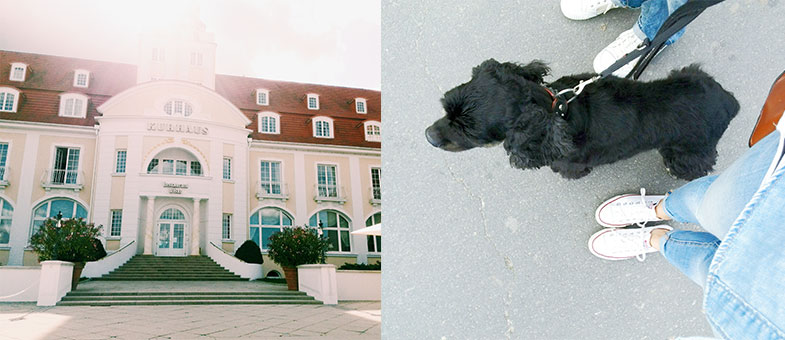 Urlaub in Binz mit dem Hund