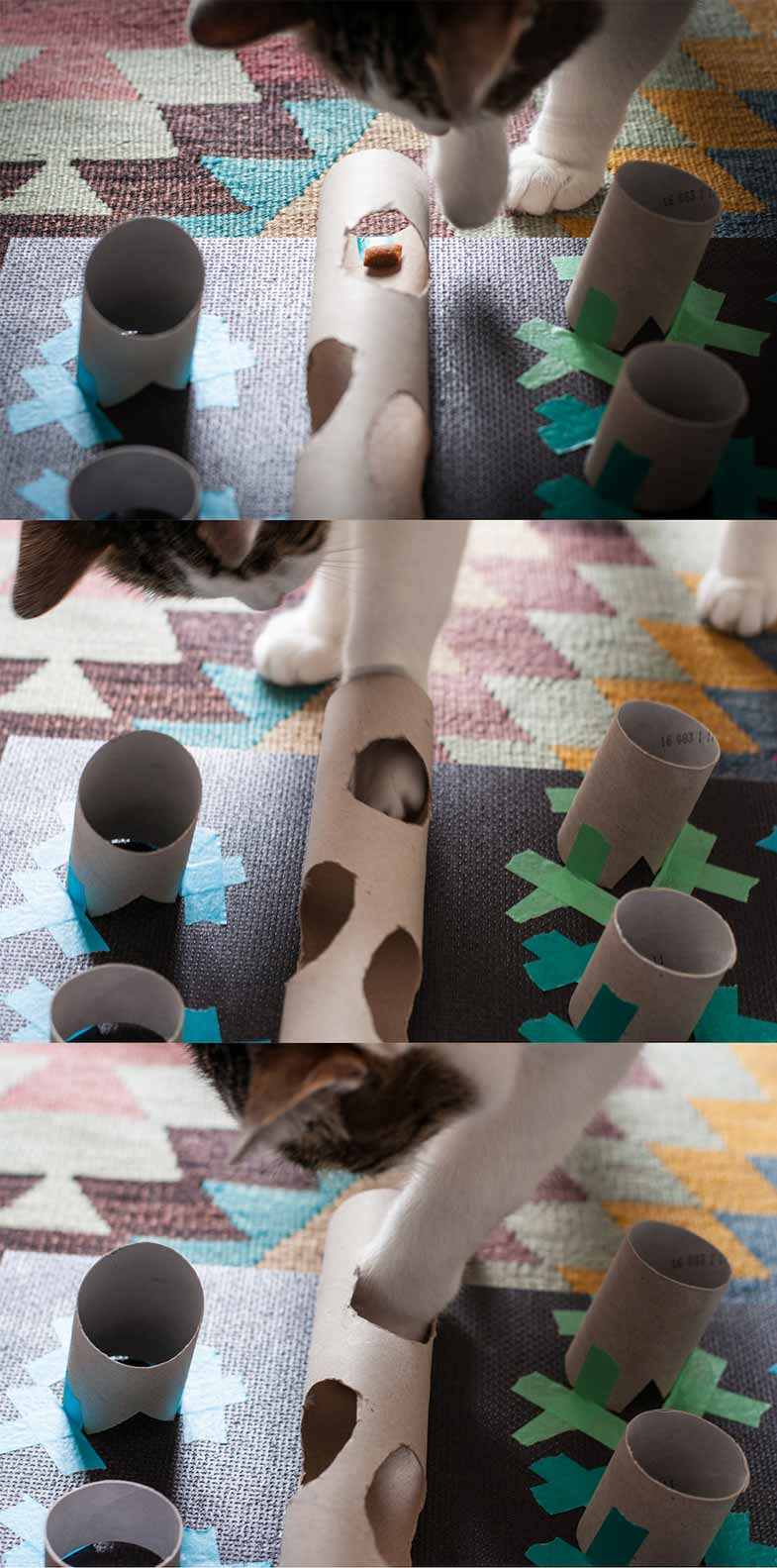 Katze spielt mit selbstgebauten Spielzeug