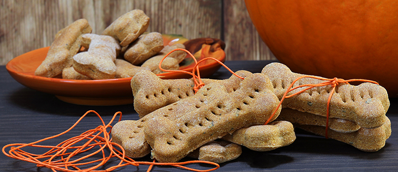 Selbstgemachte Hundekekse mit Kürbis