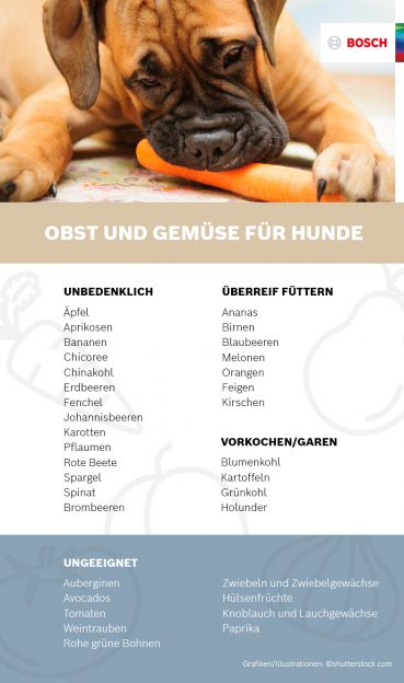 Infografik über Obst und Gemüse für Hunde