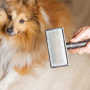 Ein Hund mit vielen Haaren und eine Bürste