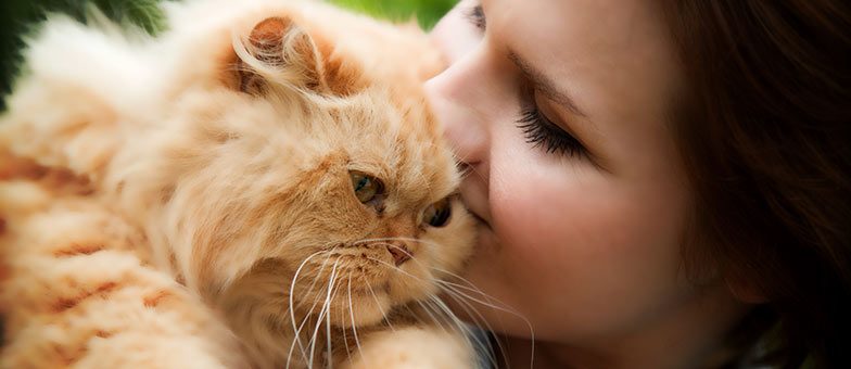 Katzen für Allergiker