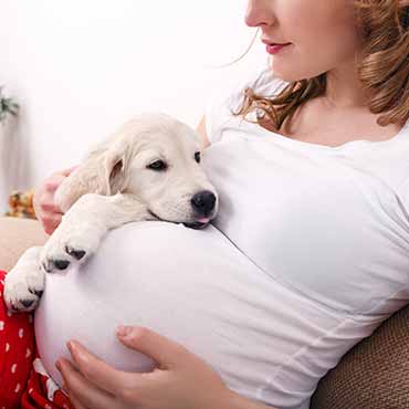 Hund Und Baby So Gewohnst Du Den Hund Ans Baby Tierisch Wohnen