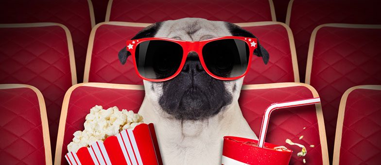 filmhunde stars