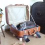 DIY Koffer Katzenbett