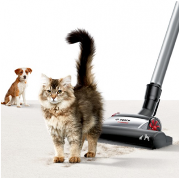 Hund Und Katze Aneinander Gewöhnen So Klappts