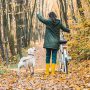 Mit Fahrrad und Hund unterwegs