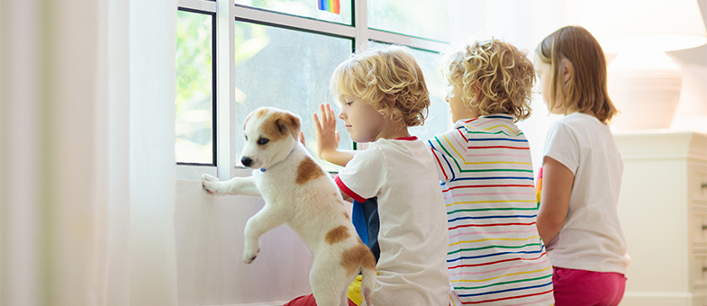 Kinder schauen mit einem Hund aus dem Fenster