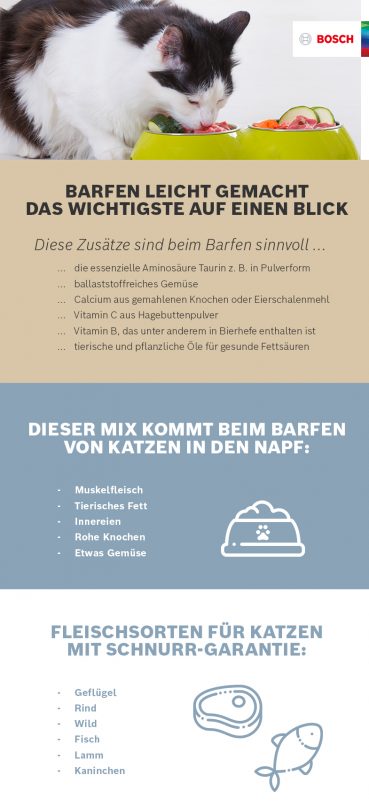 Infografik über das Barfen bei Katzen