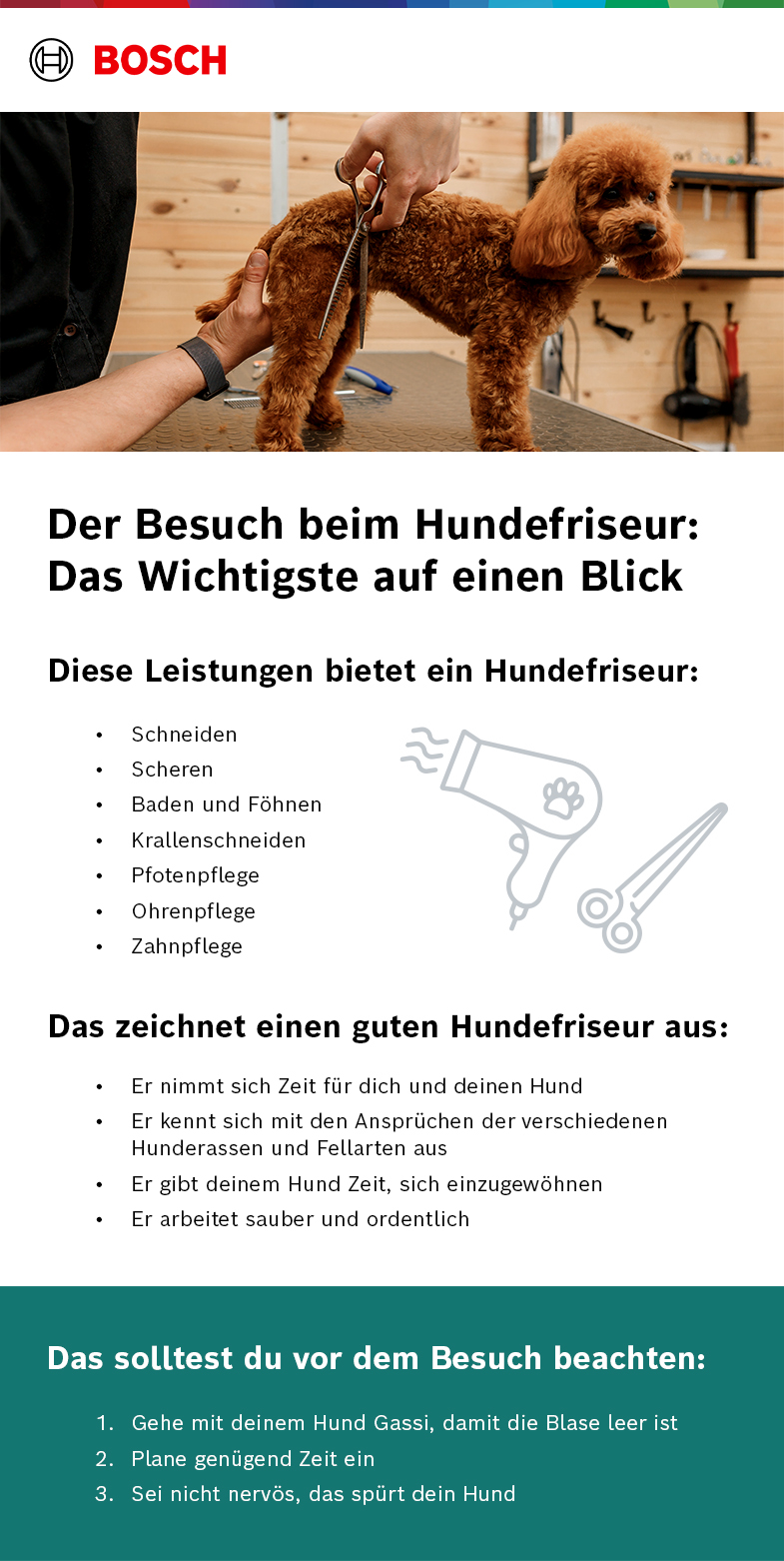 Infografik Hundefriseur